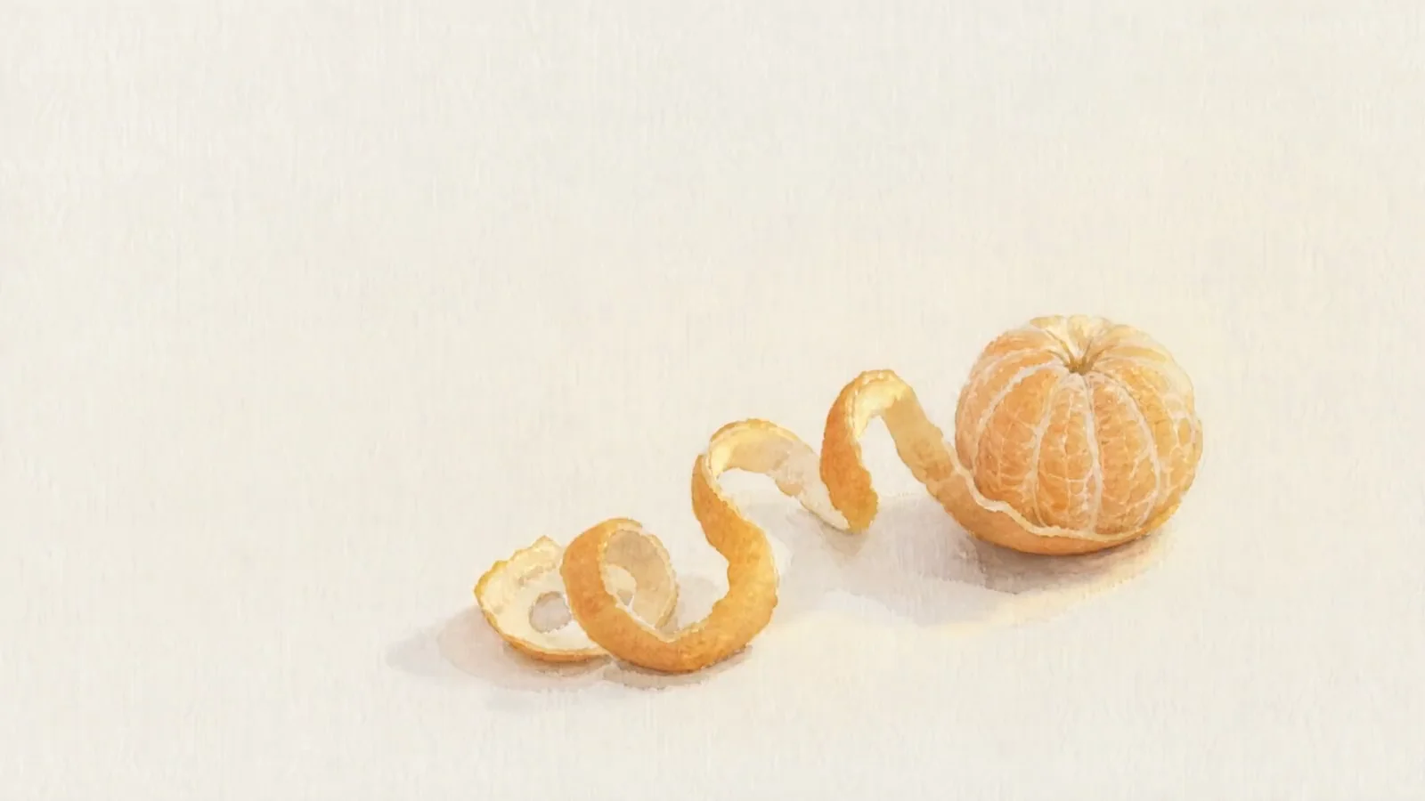 The same mandarin, its peel taken off in one unbroken spiral, light travelling slowly along it, watercolour.