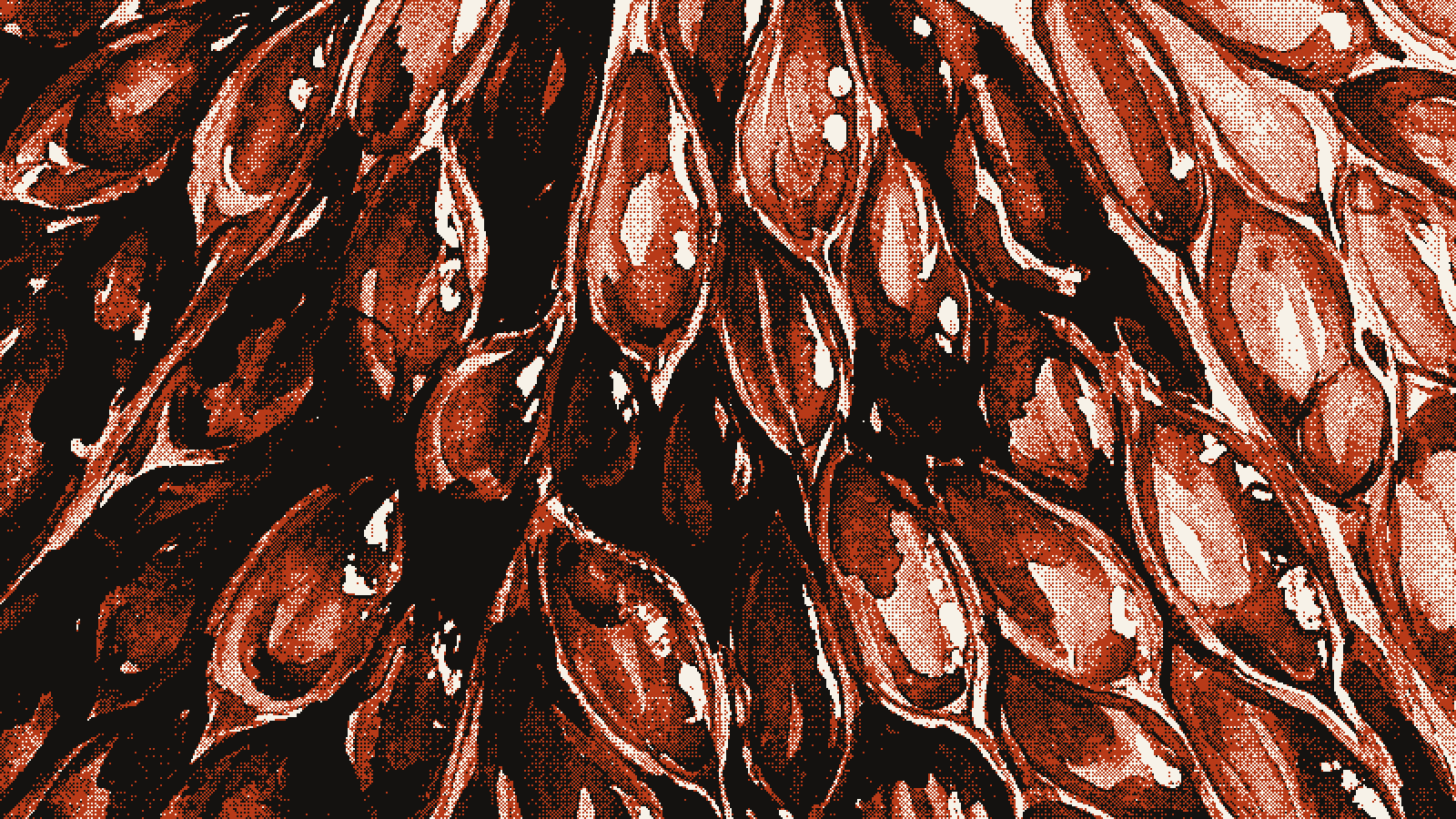Juice vesicles magnified to abstraction, cut in hard marks in three colours only: ink, ember and paper.