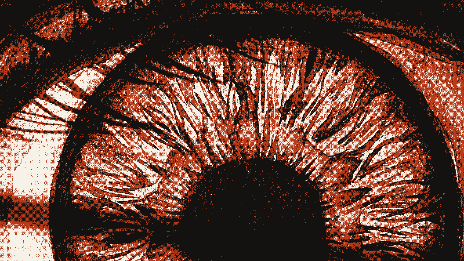 Extreme close-up of a human iris, fibres radiating from a deep black pupil, cut in hard marks in three colours only.